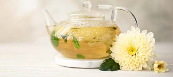 喉嚨痛 菊花茶