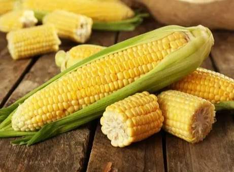 粟米營養價值 粟米營養價值