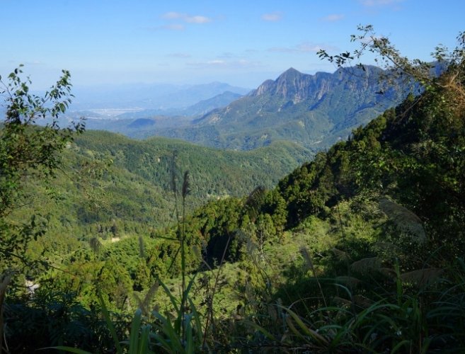金柑樹山天氣預報 金柑樹山天氣預報