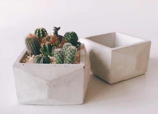 仙人掌盆器材質