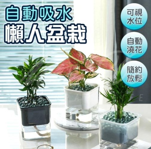 自動吸水花盆 評價 自動吸水花盆 評價