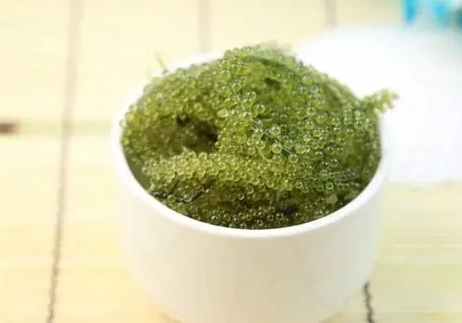 海葡萄 入境 規定