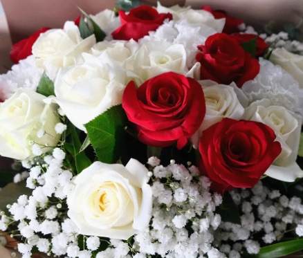 花語朵數查詢 花語朵數查詢