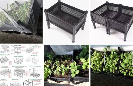 阳台种菜 阳台种菜