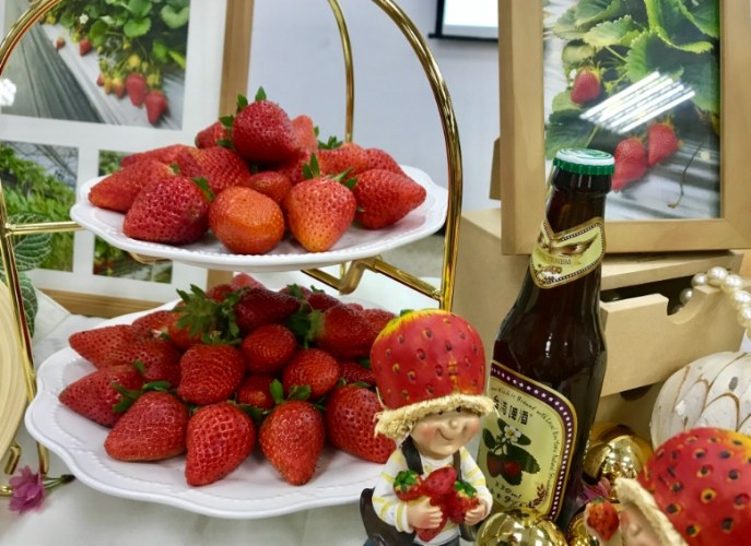 戀香草莓 品種特性