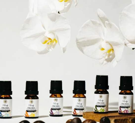 白蘭花精油功效 白蘭花精油功效