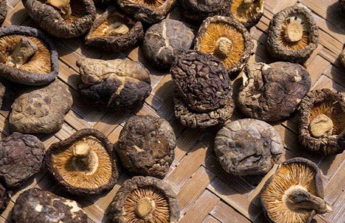 台灣 海關 乾香菇 規定