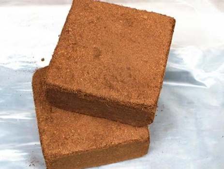 椰土使用注意事項