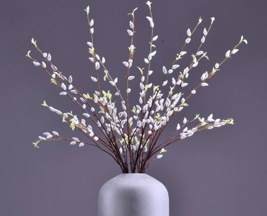 銀柳過敏治療 銀柳過敏治療