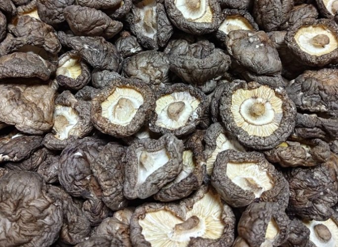 乾香菇 台灣 入境