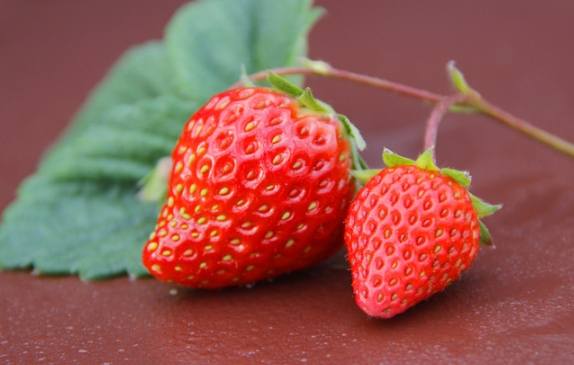 草莓甜度比較 草莓甜度比較
