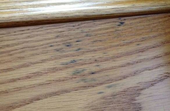 木頭發霉處理 木頭發霉處理