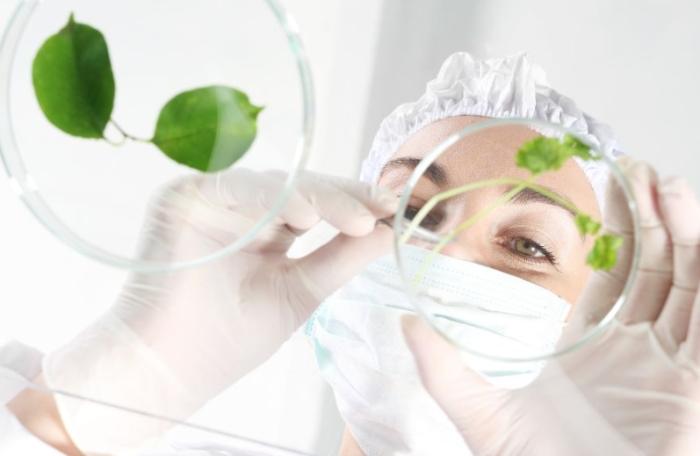 树木修剪好处 树木修剪好处