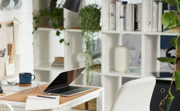 辦公室植物推薦 辦公室植物推薦