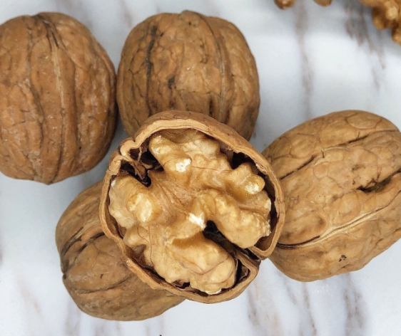 核桃帶回台灣 核桃帶回台灣