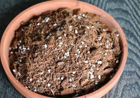 赤玉土使用教學 赤玉土使用教學