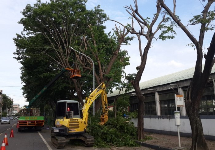 树木修剪好处 树木修剪好处