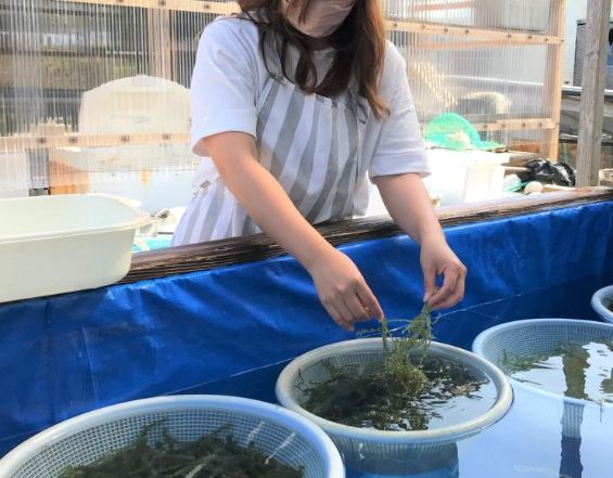 沖繩特色美食 沖繩特色美食