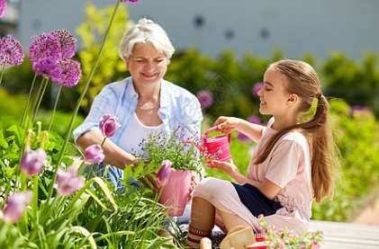 家庭象徵花卉 家庭象徵花卉