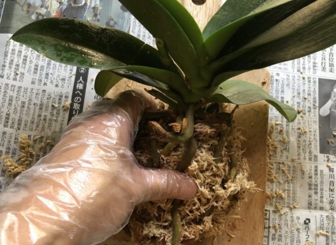 上板材料选择 上板材料选择