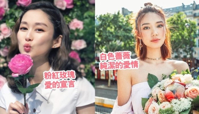 花朵數量花語 花朵數量花語