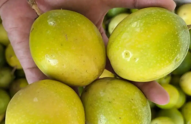 百香果营养价值