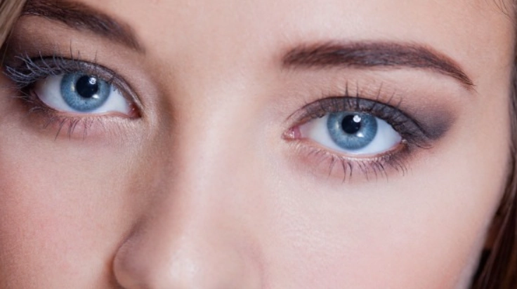 顧眼睛保健食品