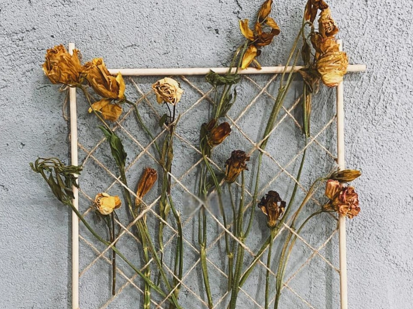 永生花風水禁忌