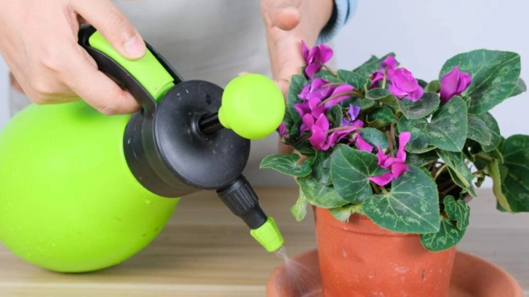 自來水澆花 自來水澆花