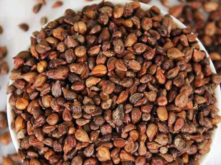 葡萄籽可以种嗎 葡萄籽可以种嗎