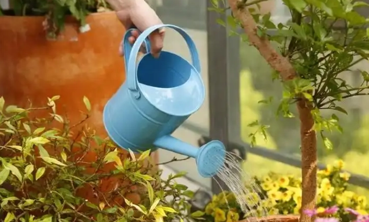 自來水澆花利弊 自來水澆花利弊