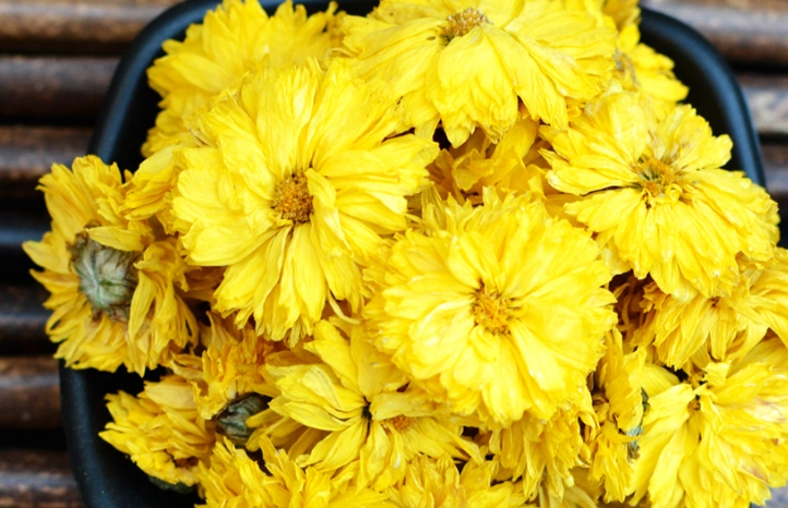 黃菊花功效 黃菊花功效