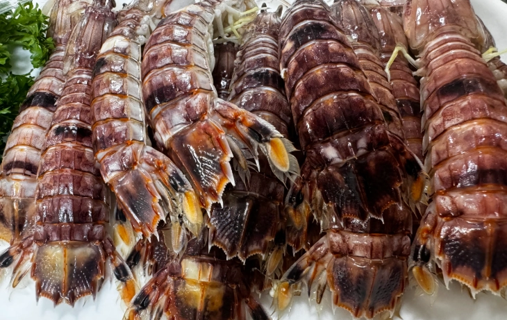 皮皮蝦營養價值