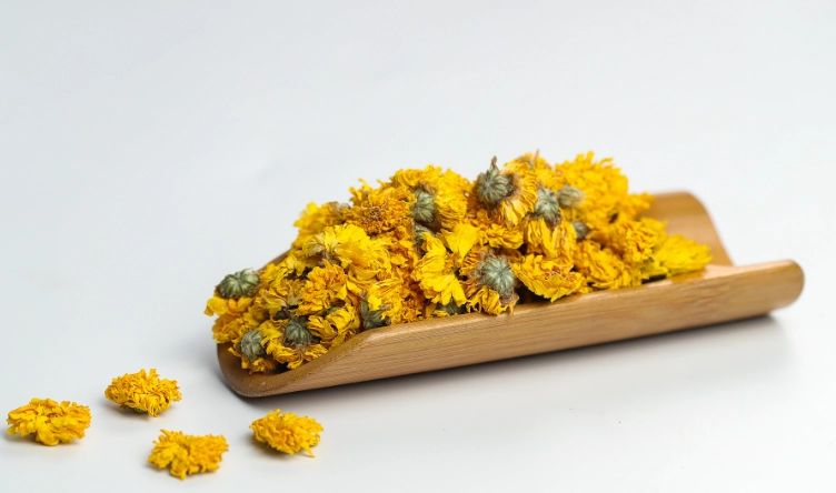 黃菊花功效 黃菊花功效