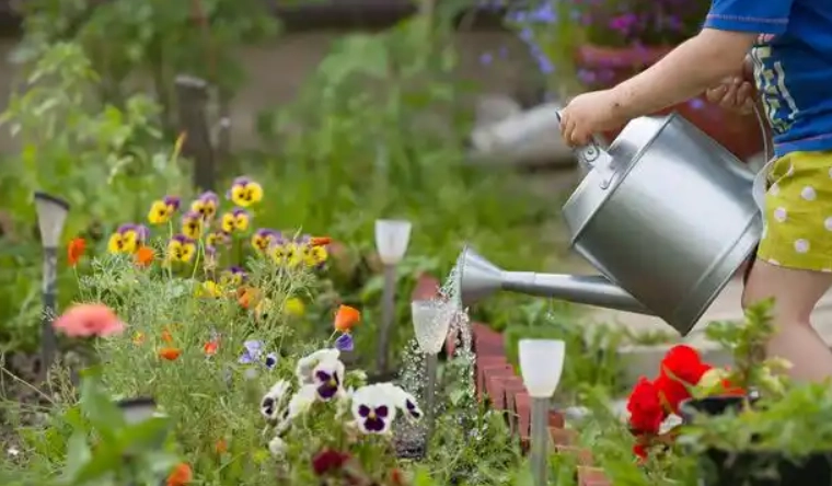 如何用自來水澆花 如何用自來水澆花