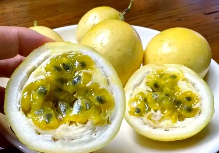 黃金百香果營養