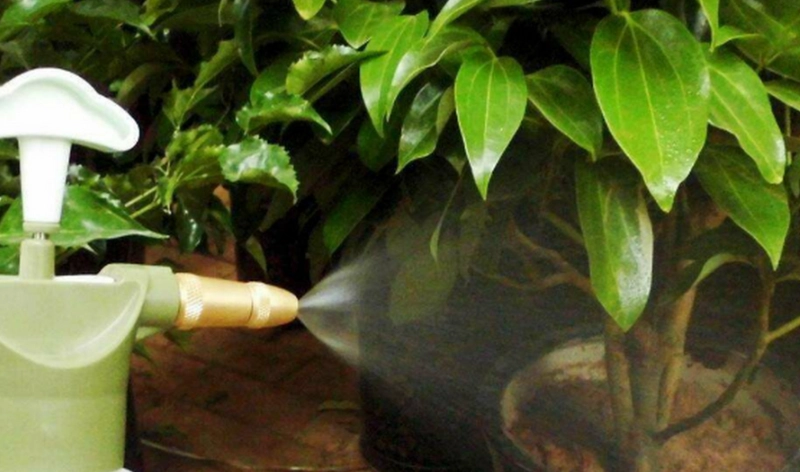 自來水澆花 自來水澆花