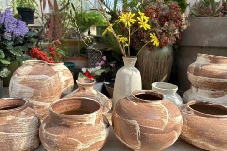 陶盆選購