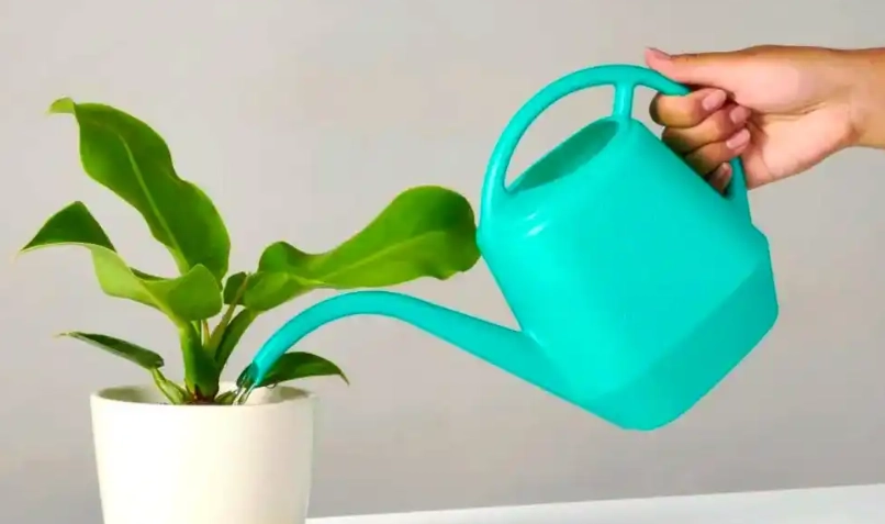 自來水澆花注意事項 自來水澆花注意事項