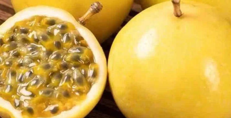 黃金百香果營養