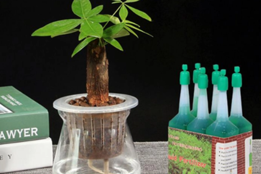 植物營養液配方