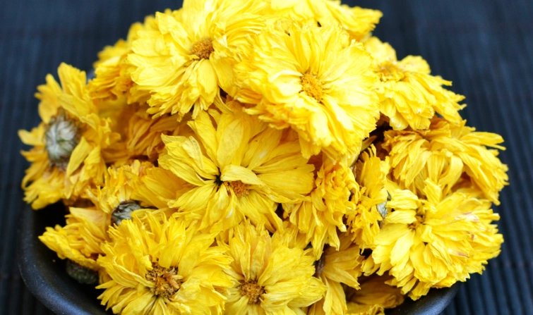 黃菊花功效 黃菊花功效