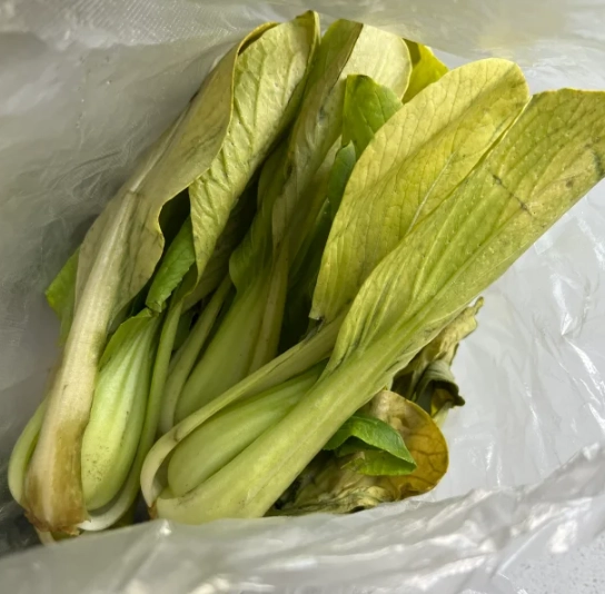 菜心變黃原因 菜心變黃原因