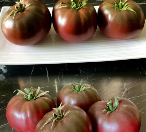 黑柿番茄種植時間