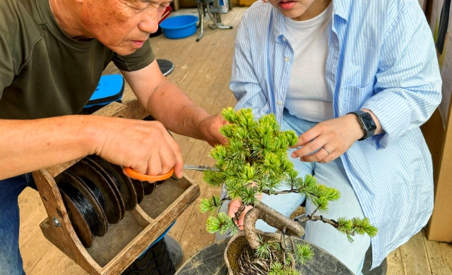 盆栽修剪技巧