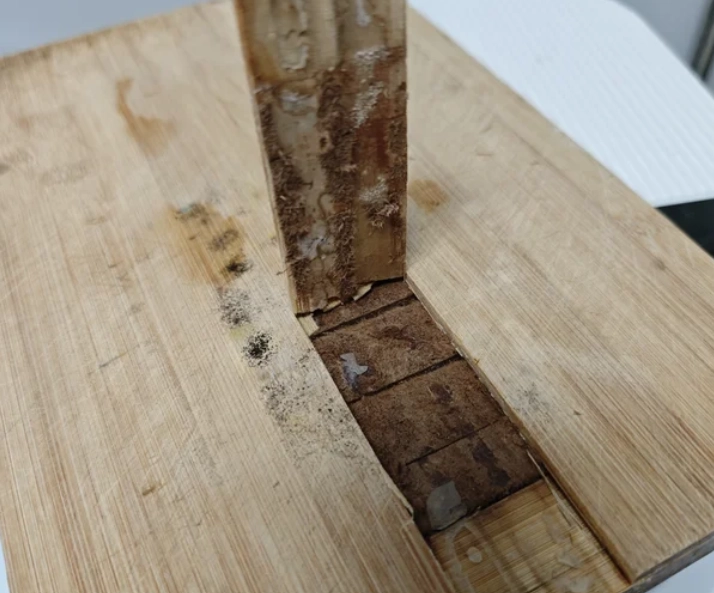 竹子發霉清潔 竹子發霉清潔