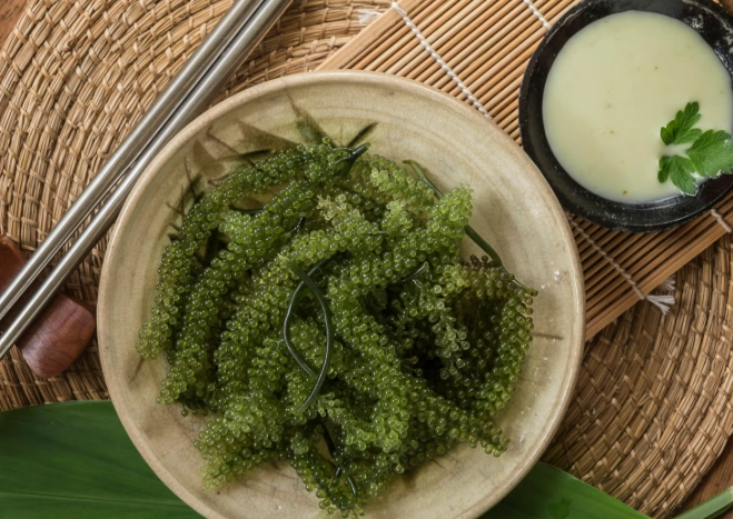 海葡萄營養 海葡萄營養