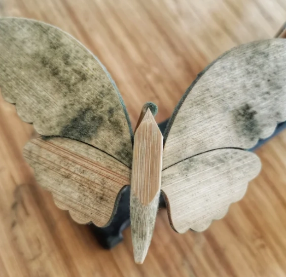 竹子發霉清潔 竹子發霉清潔