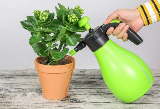 澿溫水方法 澿溫水方法