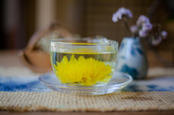 菊花副作用 菊花副作用